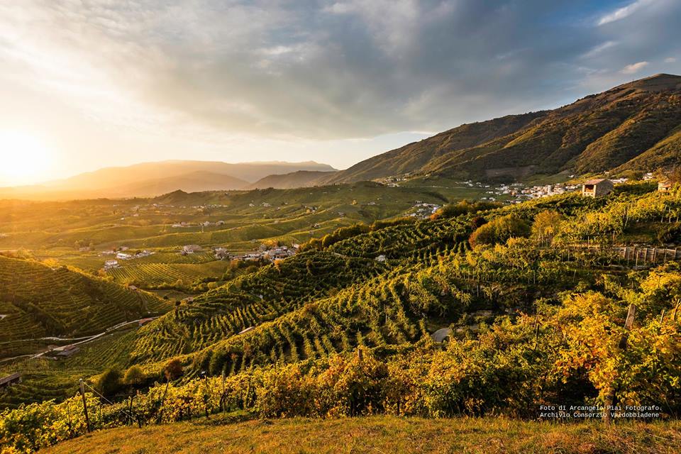 Enoturismo, Unesco e Strada del Vino: opportunità di sviluppo per i territori del Prosecco Conegliano-Valdobbiadene