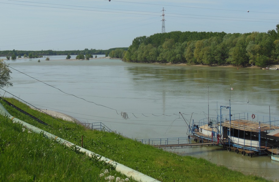 Vivificazione delle lagune del Delta del Po, Regione Veneto istituisce un gruppo di coordinamento. Habitat straordinario