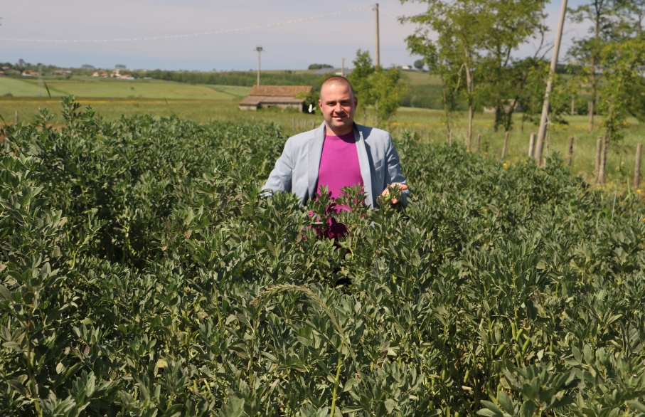 Favino e Lupino da sovescio e poi il trapianto del peperoncino Tri Pizzi sul Monte Poro. Michele Dotro: per una ’Nduja d’eccellenza!