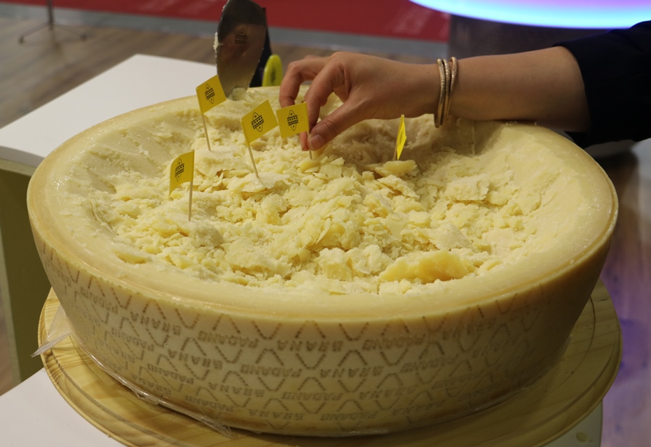 Crescita record per l’export dei formaggi Made in Italy. Boom in Francia, a seguire Germania, Gran Bretagna e Stati Uniti
