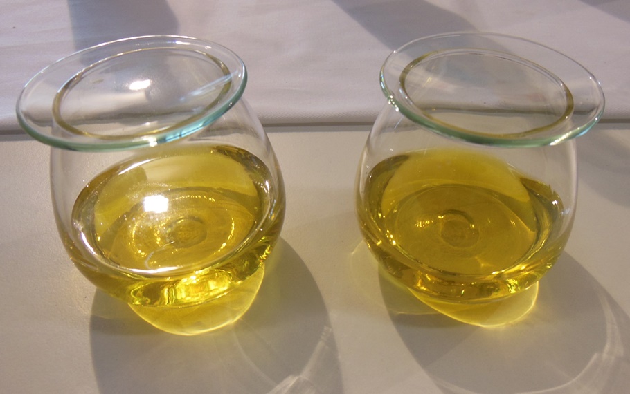 L’olio extravergine d’oliva Made in Italy, trasferta in Russia per l’Ercole Olivario: selezione di etichette d’eccellenza