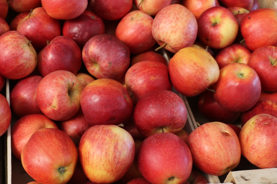 Mele: in Italia è stimata una produzione di  2,2 milioni di tonnellate, il 29 percento di mele in più rispetto allo scorso anno