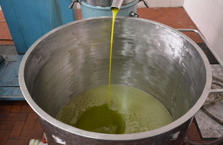 Olivicoltura, proposta di Confagricoltura: è urgente un grande piano nazionale a sostegno dell’olio extravergine d’oliva