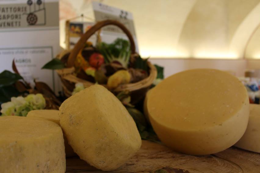 VIII Concorso Regionale dei Formaggi di Fattoria durante la XIV edizione del Concorso Caseus Veneti  a Piazzola sul Brenta