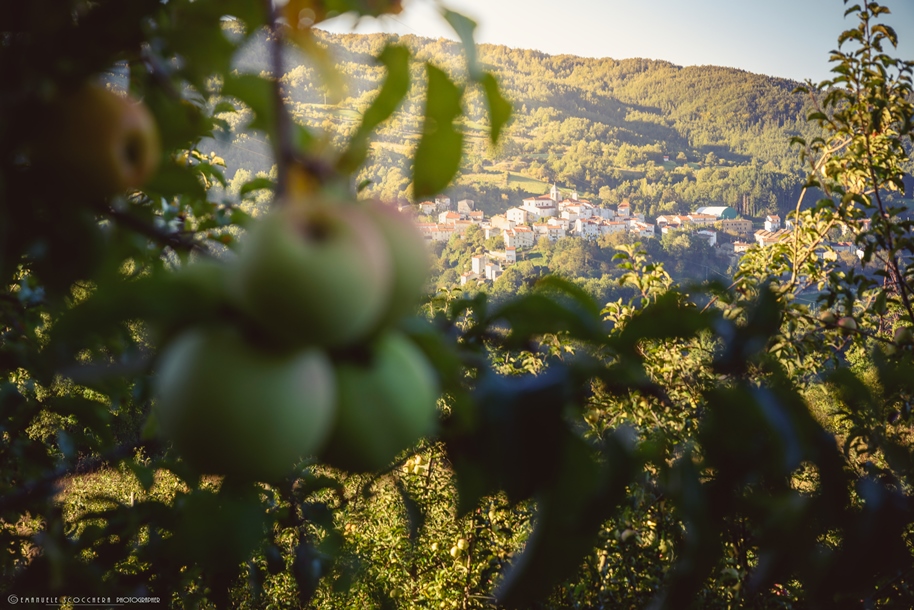 Festa della Mela a Castel del Giudice, borgo appenninico dell’Alto Molise. Inaugurazione del Giardino delle Mele Antiche