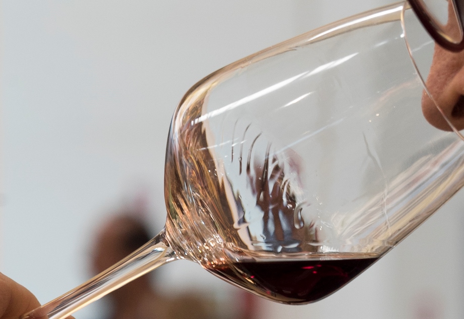 Vino Novello e vendemmia 2018, arrivano sulle tavole i circa 2 milioni di bottiglie che verranno prodotte in Italia