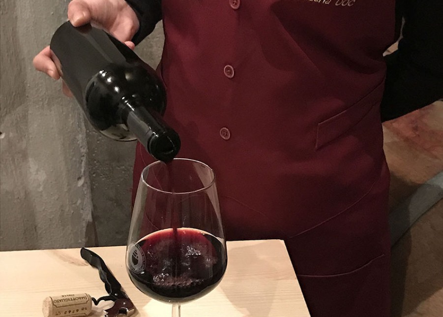 Parma celebra il Primitivo, il grande vitigno a bacca nera simbolo della Puglia con i suoi vini amati in tutto il mondo
