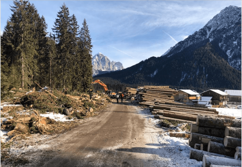 A pieno regime l’operazione di recupero dei milioni di metri cubi di alberi abbattuti sulla montagna veneta dal tornado d’autunno