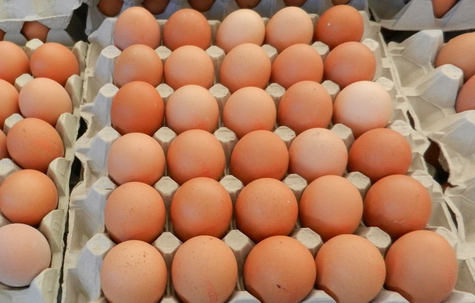 Balzo record in Italia, nel 2018, per il consumo di uova fresche: con +14% sono le star del carrello alimentare nazionale