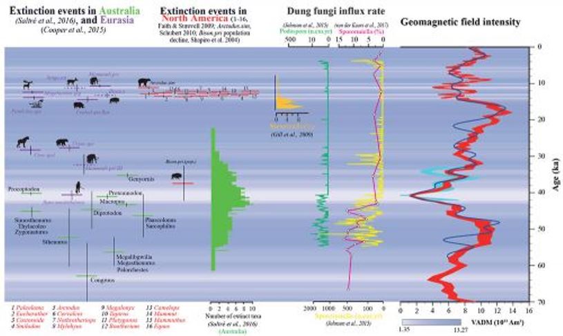 I Neanderthal si estinsero per colpa dei raggi Uv? Una importante ricerca del Cnr sull’evoluzione della specie umana