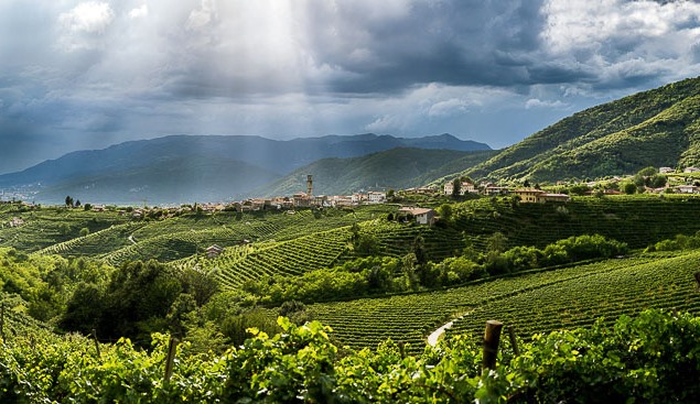 Le Colline del Prosecco di Conegliano e Valdobbiadene sono patrimonio dell’Umanità Unesco. Veneto, data storica!
