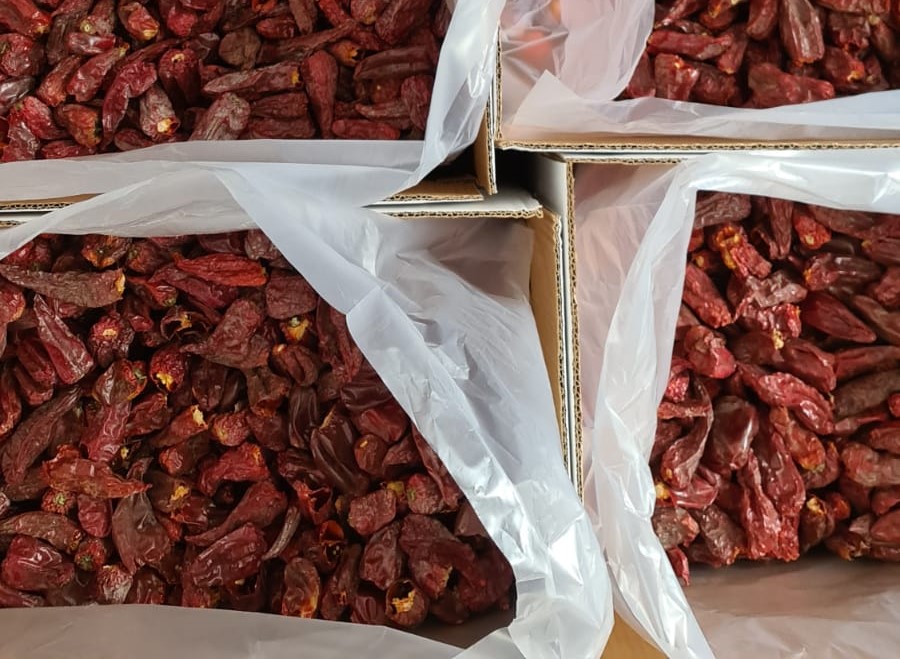 Peperoncino calabrese d’eccellenza, Cia Calabria chiede una denominazione d’origine territoriale per valorizzarlo