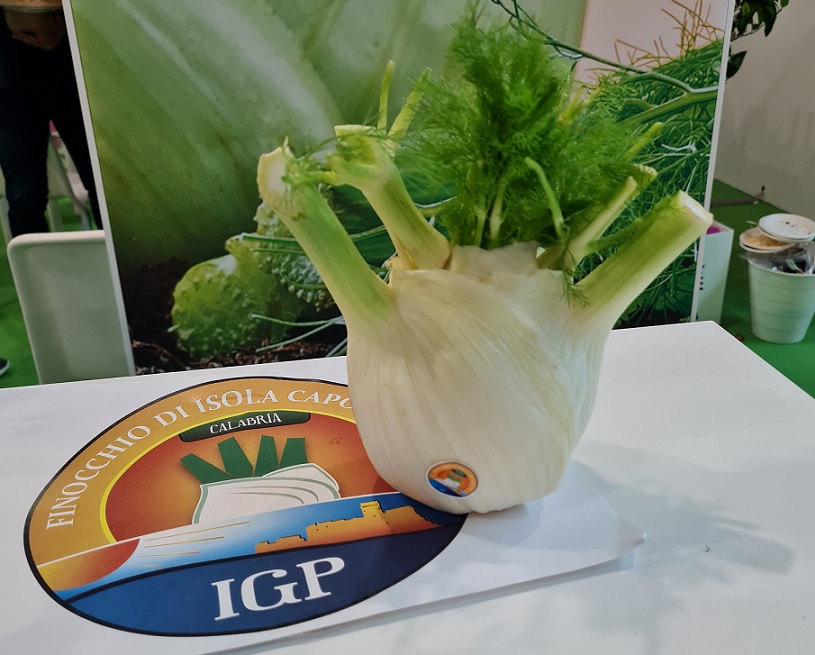 Il Finocchio di Isola Capo Rizzuto Igp ha ottenuto il marchio Igp dalla Ue. Si arricchisce il paniere calabrese