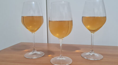 Vino Made in Italy, Sos di Coldiretti: l’impennata del <strong>costo del vetro cavo</strong> per le bottiglie mette a rischio la competitività