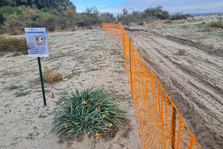 Pista ciclabile fra le fragili Dune di Giovino? Alcune domande sulla visione ecologista a Fiorita, Iemma e Belcaro…