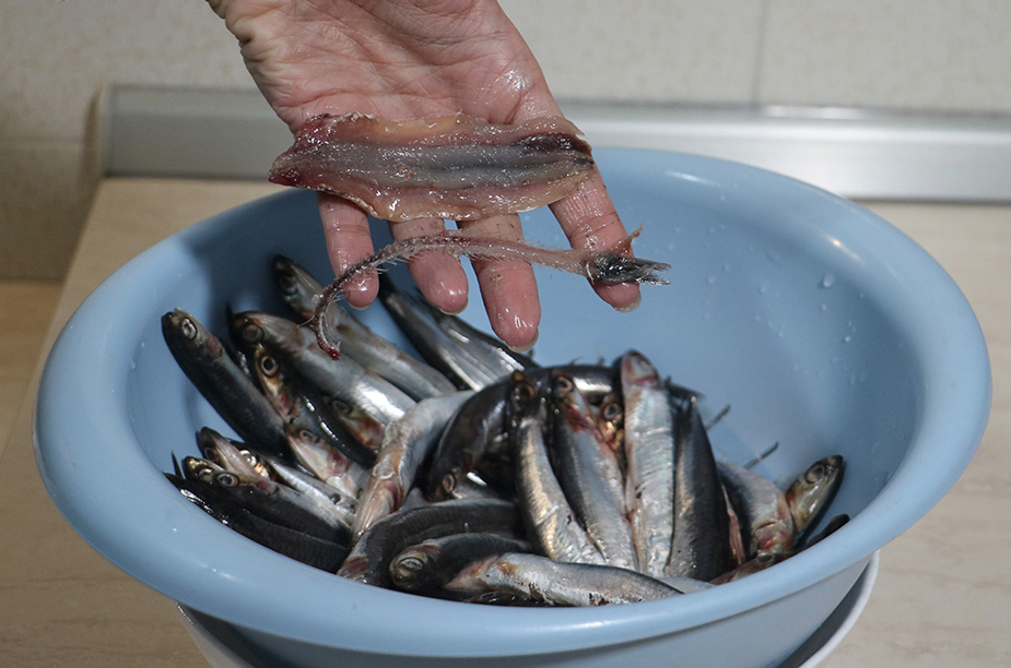 Come pulire e cucinare le Alici, gli Occhialuni e la Buzzonaglia di Tonno Rosso: un opuscolo a colori sul “Pesce povero”