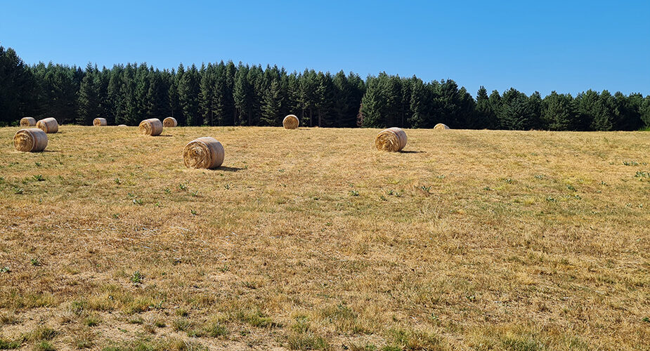 Sos di Slow Food: la cementificazione continua ad accelerare, oltre il 10 percento in più rispetto al 2021