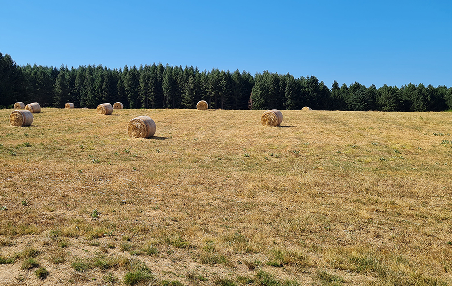 Sos di Slow Food: la cementificazione continua ad accelerare, oltre il 10 percento in più rispetto al 2021