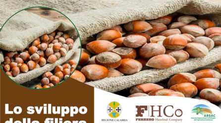 “Lo sviluppo della filiera del nocciolo in Calabria, prospettive e strumenti”: convegno con Regione Calabria, Arsac e Ferrero