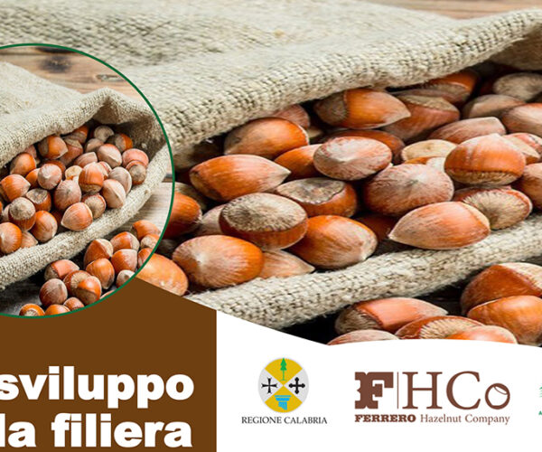 “Lo sviluppo della filiera del nocciolo in Calabria, prospettive e strumenti”: convegno con Regione Calabria, Arsac e Ferrero