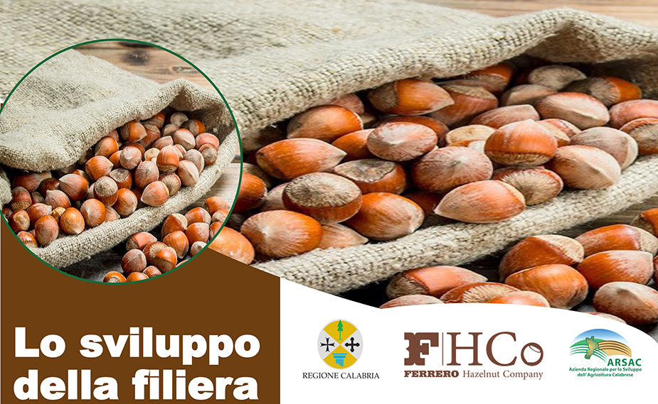 “Lo sviluppo della filiera del nocciolo in Calabria, prospettive e strumenti”: convegno con Regione Calabria, Arsac e Ferrero