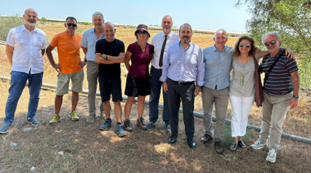 Innovare con l’Agroforestry: un’importante sperimentazione del Crea sul cotone con Apulia Regenerative Cotton (ARCO)