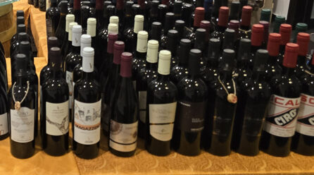 Federdoc: è positivo l’accordo tra Ue e Mercosur per la protezione delle 349 IG del vino