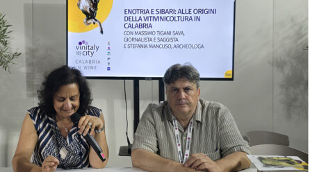 <strong>Enotria e Sibari</strong>: alle origini della vitivinicoltura in Calabria. Talk al Vinitaly and th City dell’archeologa Stefania Mancuso e del giornalista Massimo Tigani Sava