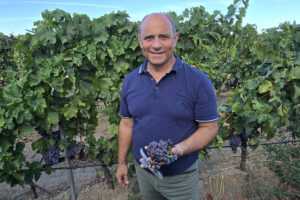 La vendemmia a Cirò Marina e le Cantine Zito in un lungo servizio televisvo andato in onda su LaC: il Pecorello