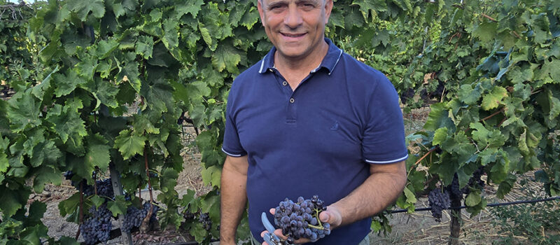 La vendemmia a Cirò Marina e le Cantine Zito in un lungo servizio televisvo andato in onda su LaC: il Pecorello