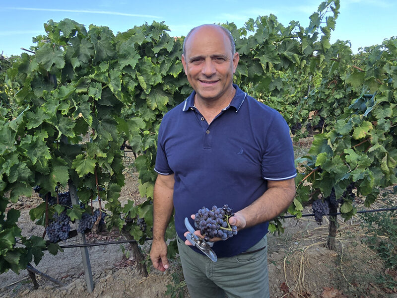 La vendemmia a Cirò Marina e le Cantine Zito in un lungo servizio televisvo andato in onda su LaC: il Pecorello