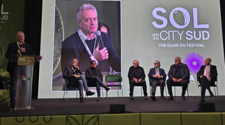 Il successo della due-giorni catanzarese di “Sol in the City Sud” chiude un ciclo e ne apre un altro: vi spiego perché!
