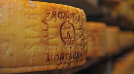 Asiago DOP Prodotto della Montagna celebra vent’anni dalla introduzione nel disciplinare di produzione