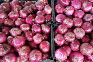 Dieta Mediterranea e prevenzione della malattie, riconoscimento della Fao al Comune di Pollica: “Eroe del Cibo”