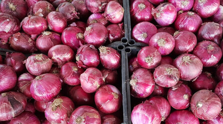Dieta Mediterranea e prevenzione della malattie, riconoscimento della Fao al Comune di Pollica: “Eroe del Cibo”