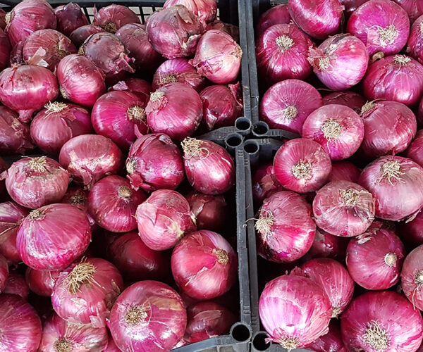 Dieta Mediterranea e prevenzione della malattie, riconoscimento della Fao al Comune di Pollica: “Eroe del Cibo”