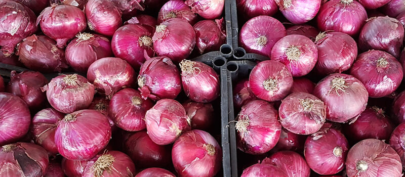 Dieta Mediterranea e prevenzione della malattie, riconoscimento della Fao al Comune di Pollica: “Eroe del Cibo”