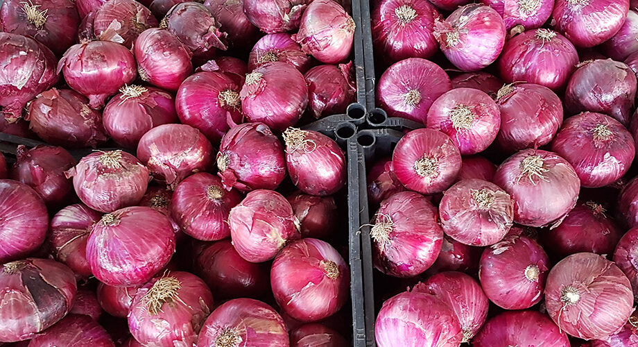 Dieta Mediterranea e prevenzione della malattie, riconoscimento della Fao al Comune di Pollica: “Eroe del Cibo”
