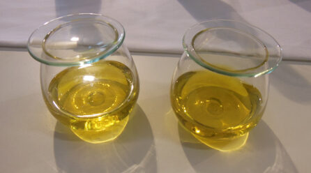 Olivicoltura, Copagri: positiva la proroga annuale per l’obbligo di consegna e registrazione delle olive da olio entro sei ore