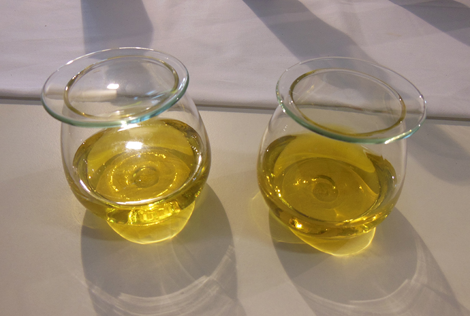 Olivicoltura, Copagri: positiva la proroga annuale per l’obbligo di consegna e registrazione delle olive da olio entro sei ore