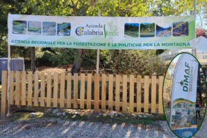 Mongiana (2-4 ottobre): XVIII Dimostrazione internazionale di macchine e attrezzature forestali, Dimaf 2026