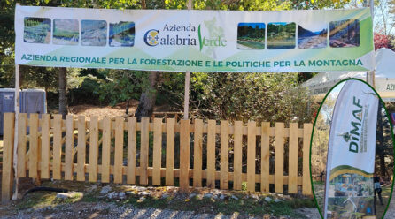 Mongiana (2-4 ottobre): XVIII Dimostrazione internazionale di macchine e attrezzature forestali, Dimaf 2026