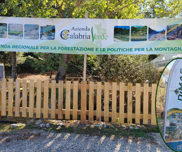Mongiana (2-4 ottobre): XVIII Dimostrazione internazionale di macchine e attrezzature forestali, Dimaf 2026