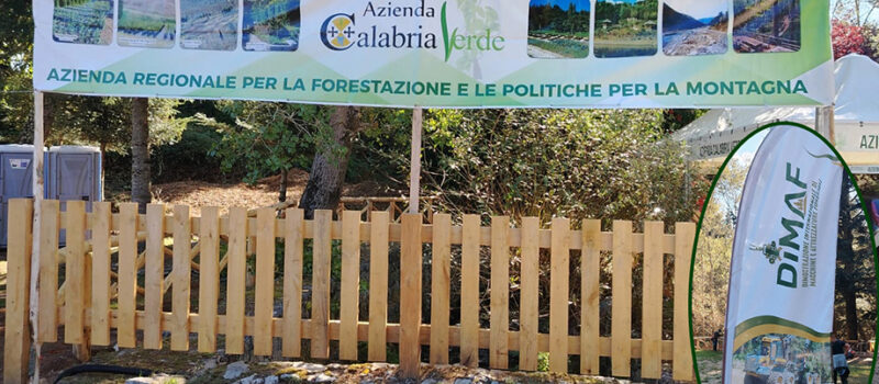 Mongiana (2-4 ottobre): XVIII Dimostrazione internazionale di macchine e attrezzature forestali, Dimaf 2026