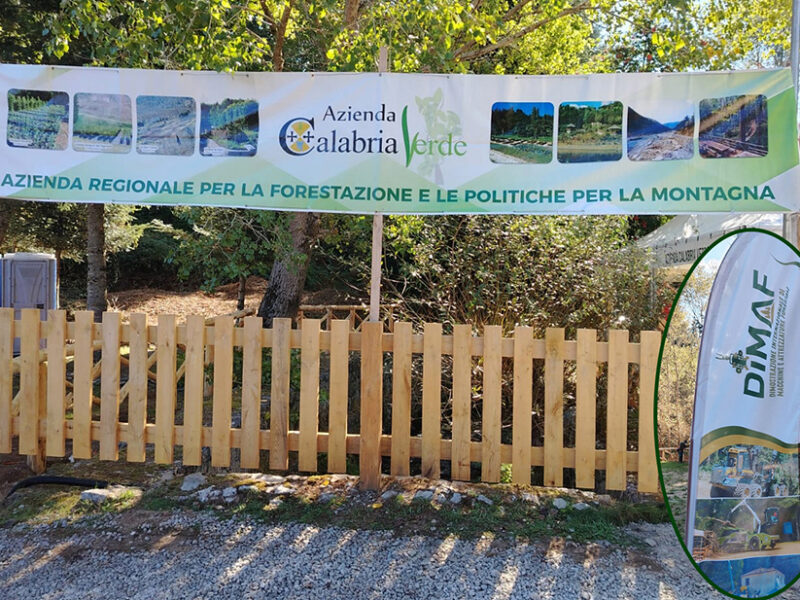 Mongiana (2-4 ottobre): XVIII Dimostrazione internazionale di macchine e attrezzature forestali, Dimaf 2026