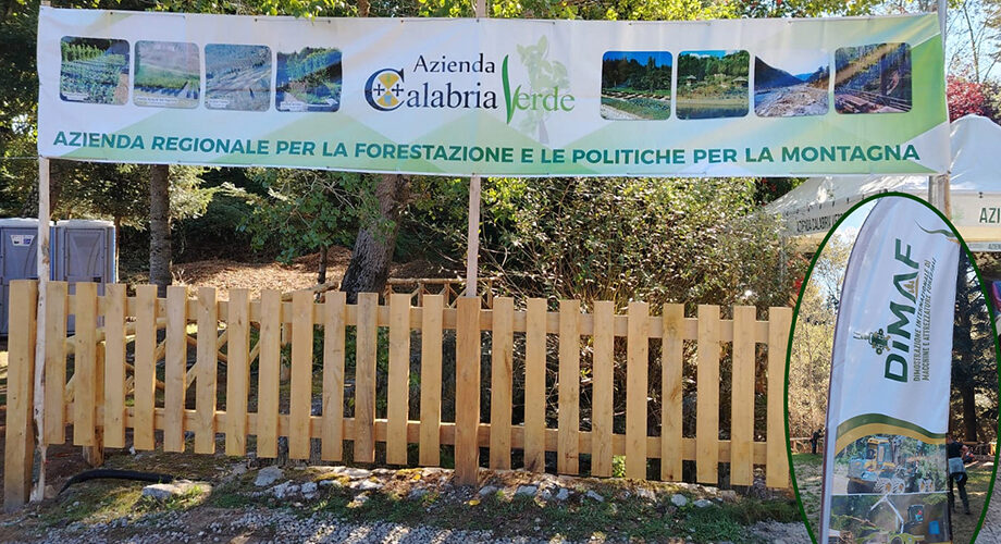 Mongiana (2-4 ottobre): XVIII Dimostrazione internazionale di macchine e attrezzature forestali, Dimaf 2026