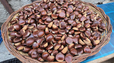 L’Italia è il primo produttore europeo di castagne e marroni. Campania regione leader per quantità e a seguire Calabria e Piemonte