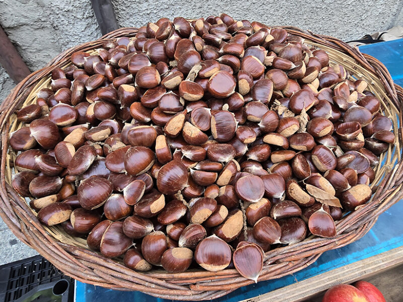 L’Italia è il primo produttore europeo di castagne e marroni. Campania regione leader per quantità e a seguire Calabria e Piemonte