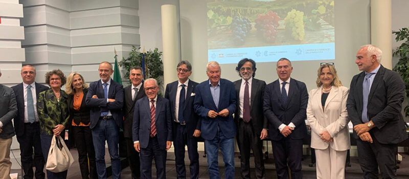 Malvasia senza confini, un network nazionale nato dall’alleanza strategica tra dodici Camere di Commercio italiane