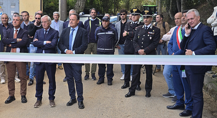 Foreste, legno, vivaismo, macchine e attrezzature: bilancio molto positivo per la XVIII edizione della D.I.M.A.F.